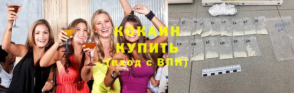 гашик Михайловск